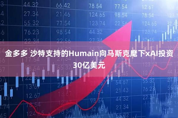金多多 沙特支持的Humain向马斯克麾下xAI投资30亿美元