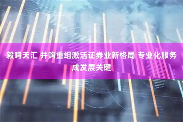 毅鸣天汇 并购重组激活证券业新格局 专业化服务成发展关键
