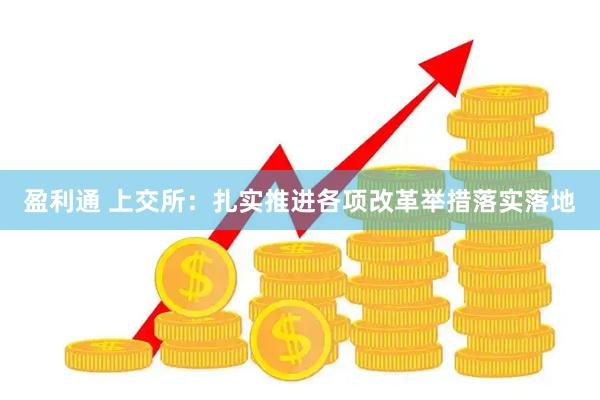 盈利通 上交所：扎实推进各项改革举措落实落地