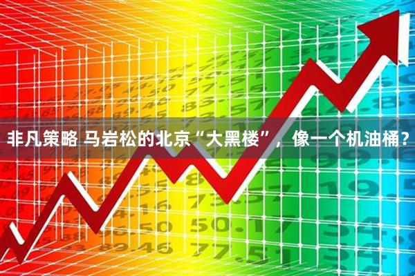 非凡策略 马岩松的北京“大黑楼”，像一个机油桶？