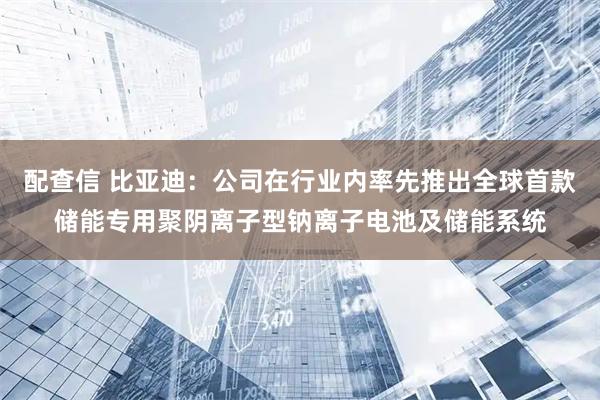 配查信 比亚迪：公司在行业内率先推出全球首款储能专用聚阴离子型钠离子电池及储能系统
