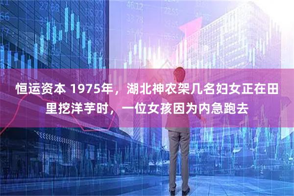 恒运资本 1975年，湖北神农架几名妇女正在田里挖洋芋时，一位女孩因为内急跑去