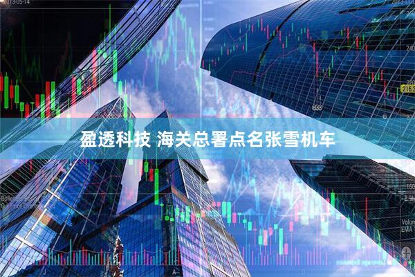 盈透科技 海关总署点名张雪机车