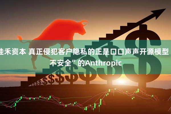 佳禾资本 真正侵犯客户隐私的正是口口声声开源模型“不安全”的Anthropic