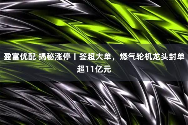 盈富优配 揭秘涨停丨签超大单,燃气轮机龙头封单超11亿元