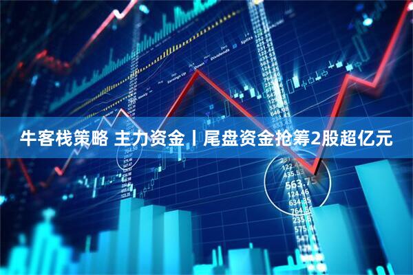 牛客栈策略 主力资金丨尾盘资金抢筹2股超亿元