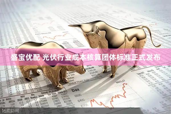 盛宝优配 光伏行业成本核算团体标准正式发布