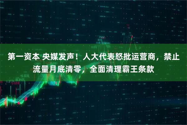 第一资本 央媒发声！人大代表怒批运营商，禁止流量月底清零，全面清理霸王条款