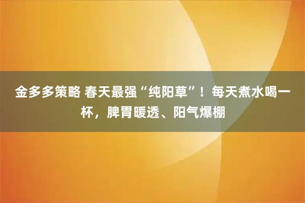 金多多策略 春天最强“纯阳草”！每天煮水喝一杯，脾胃暖透、阳气爆棚