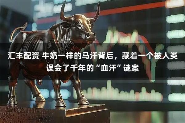 汇丰配资 牛奶一样的马汗背后，藏着一个被人类误会了千年的“血汗”谜案