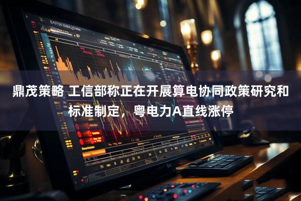 鼎茂策略 工信部称正在开展算电协同政策研究和标准制定，粤电力A直线涨停