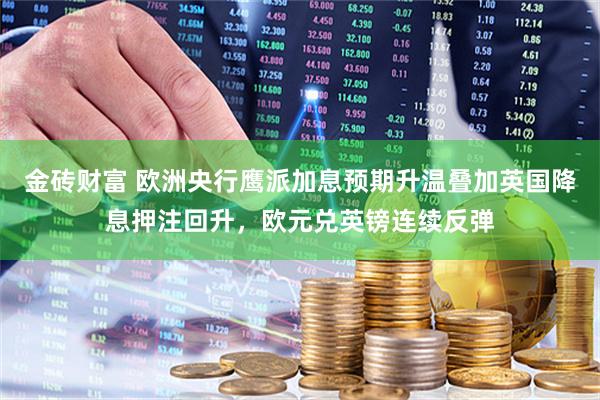 金砖财富 欧洲央行鹰派加息预期升温叠加英国降息押注回升，欧元兑英镑连续反弹
