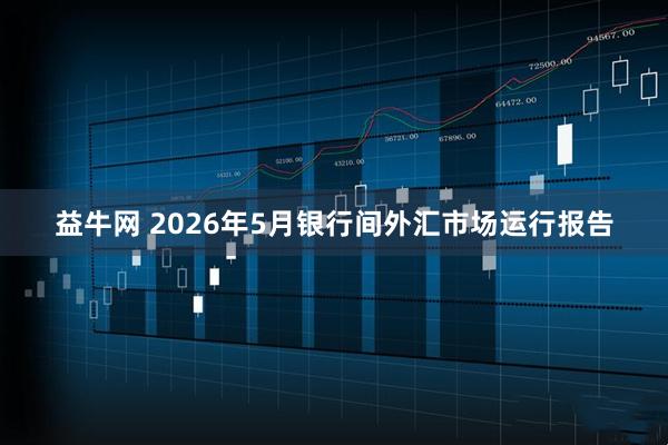 益牛网 2026年5月银行间外汇市场运行报告