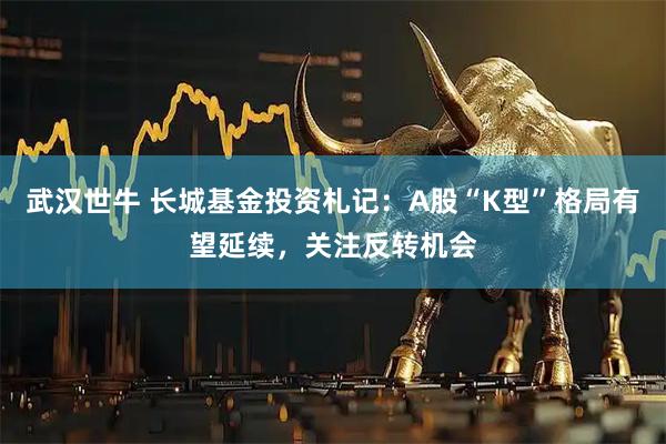武汉世牛 长城基金投资札记:A股“K型”格局有望延续,关注反转机会
