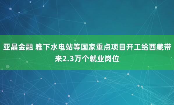 亚晶金融 雅下水电站等国家重点项目开工给西藏带来2.3万个就业岗位