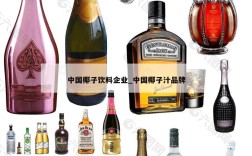 中国椰子饮料企业_中国椰子汁品牌
